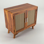 Cabinet with 2 Door & 2 Shelves Storage Cabinet