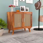Cabinet with 2 Door & 2 Shelves Storage Cabinet