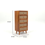 Cabinet with 5 Drawer Storage Cabinet
