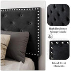 Modern Upholstered King Size Bed | Premium Fabric Bed
