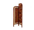 Sheesham Wood and Cane Corner Bookshelf