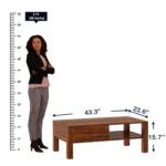 Mochaire Solid Sheesham Wood Coffee Table
