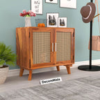 Cabinet with 2 Door & 2 Shelves Storage Cabinet